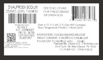 Label (Divalproex Sod Dr 250mg)